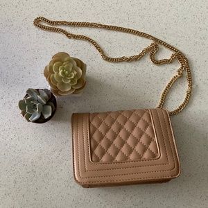 Forever 21 Small Crossbody Clutch